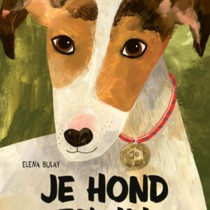 Je hond en jij